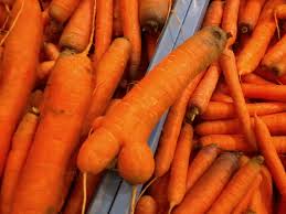 carottes2